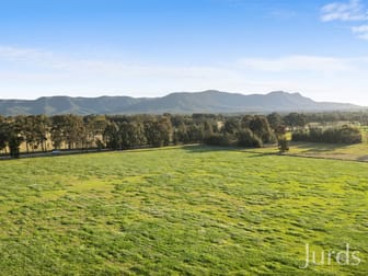 217 Deaseys Road Pokolbin NSW 2320 - Image 3