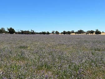 9653 Dukes Highway Tintinara SA 5266 - Image 2