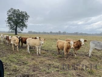 Degilbo QLD 4621 - Image 3