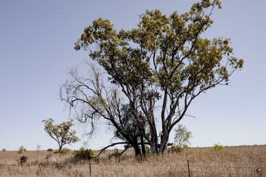 Lot 79 Hodgson Lane Roma QLD 4455 - Image 2