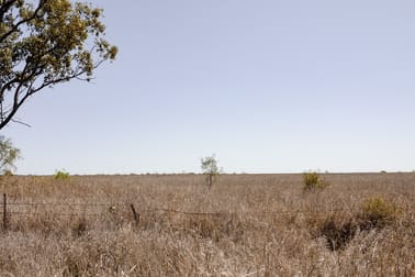 Lot 79 Hodgson Lane Roma QLD 4455 - Image 3