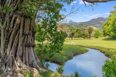 18 Everests Road Eungella NSW 2484 - Image 3