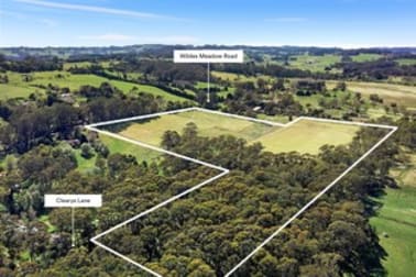 41 Clearys Lane Wildes Meadow NSW 2577 - Image 1