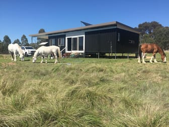 Click to view all images Tenterfield NSW 2372 - Image 2