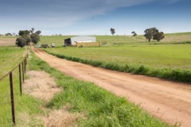 Warrawong Wirrimah Road Bendick Murrell NSW 2803 - Image 3