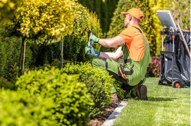 Gardening  business for sale in Brisbane City - Image 2