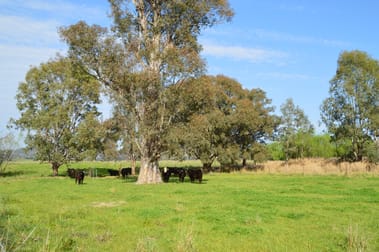 580 Gregadoo East Rd Wagga Wagga NSW 2650 - Image 1