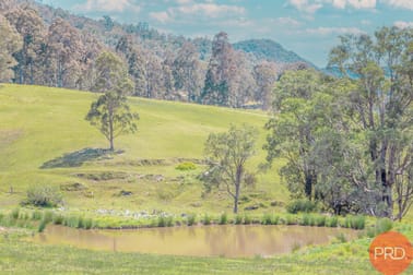 415 Lambs Valley Road Lambs Valley NSW 2335 - Image 3