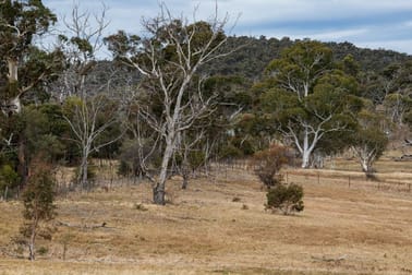 "Red Hill"/462 Middlingbank Road Berridale NSW 2628 - Image 3
