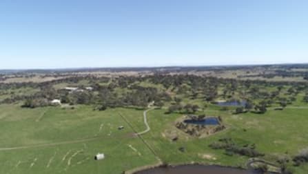 337 Range Road Goulburn NSW 2580 - Image 3