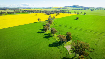 'Pleasant Valley'/626 Hudsons Rd Walbundrie NSW 2642 - Image 2