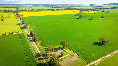 'Pleasant Valley'/626 Hudsons Rd Walbundrie NSW 2642 - Image 3