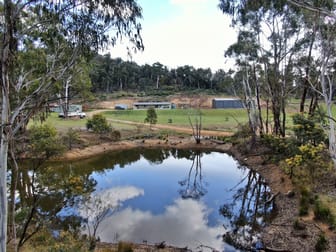 1809 Numeralla Road Cooma NSW 2630 - Image 1