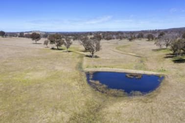 2929 Rockvale Road Metz NSW 2350 - Image 1