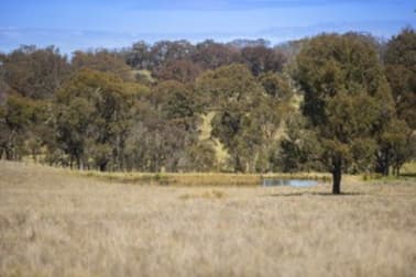 2929 Rockvale Road Metz NSW 2350 - Image 2