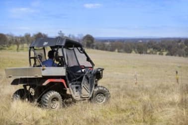 2929 Rockvale Road Metz NSW 2350 - Image 3