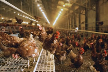 Rural & Farming  business for sale in Melbourne Region VIC - Image 1