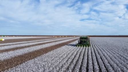 Gundaline Sturt Highway Carrathool NSW 2711 - Image 1