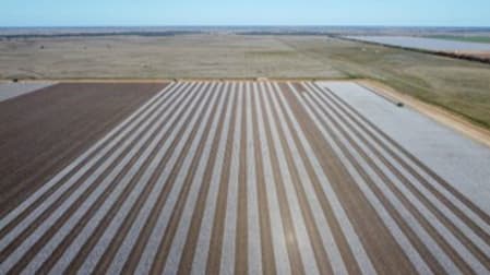 Gundaline Sturt Highway Carrathool NSW 2711 - Image 2
