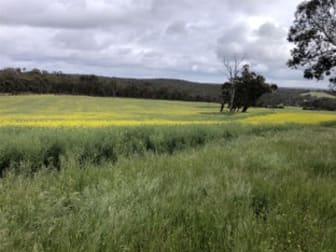 . " Snowdon" Pretty Gully Road Chowerup WA 6244 - Image 2