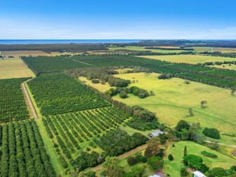 142 Martins Lane Knockrow NSW 2479 - Image 3
