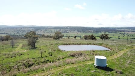 "Toolangi View" 2699 Blackstump Way Coolah NSW 2843 - Image 1