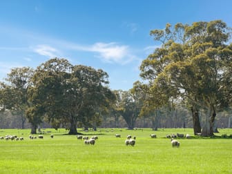 813 Yarramyljup Road Rocklands VIC 3401 - Image 2