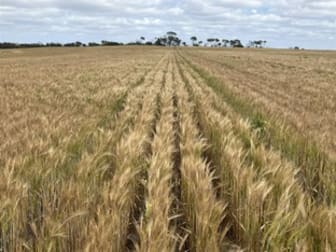 . 'Two Wells' Tammin WA 6409 - Image 1
