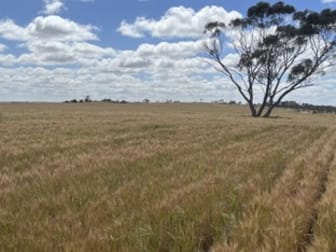 . 'Two Wells' Tammin WA 6409 - Image 2