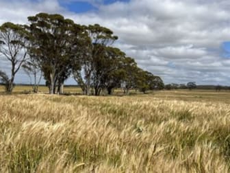 . 'Two Wells' Tammin WA 6409 - Image 3