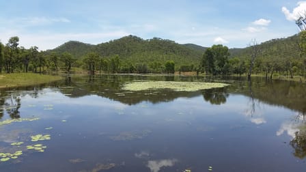 198 Carbonate Creek Road Dimbulah QLD 4872 - Image 2