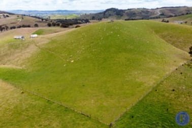 Lot A Grassy Creek Road Rye Park NSW 2586 - Image 1