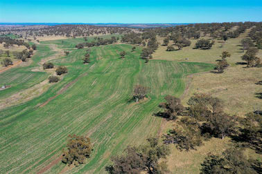 'Valley View' Racecourse Road Cassilis NSW 2329 - Image 1