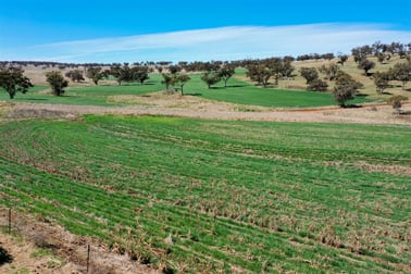 'Valley View' Racecourse Road Cassilis NSW 2329 - Image 2