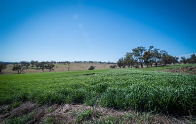 'Valley View' Racecourse Road Cassilis NSW 2329 - Image 3
