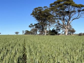 . Cadonia Park Cunderdin WA 6407 - Image 1