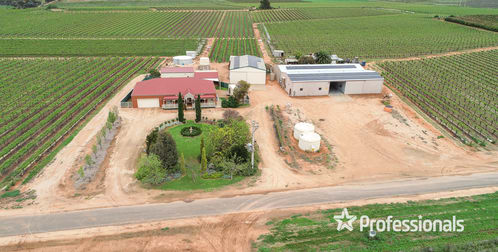 350 & 356 Stewart Road Red Cliffs VIC 3496 - Image 1