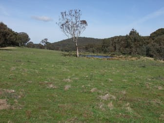 Part 692 Bald Ridge Road Bald Ridge NSW 2795 - Image 3