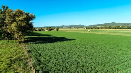 9611 Mitchell Highway Wellington NSW 2820 - Image 2