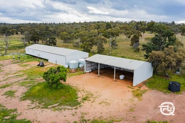 1147 Kamarah Road Landervale Via Narrandera NSW 2700 - Image 2
