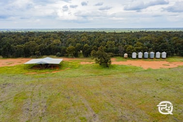 1147 Kamarah Road Landervale Via Narrandera NSW 2700 - Image 3
