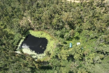 215 Martin Road Nymboida NSW 2460 - Image 3