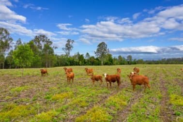 288 Blowers Road Munna Creek QLD 4570 - Image 3