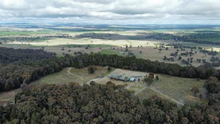 86 Cusak Road Boorowa NSW 2586 - Image 3