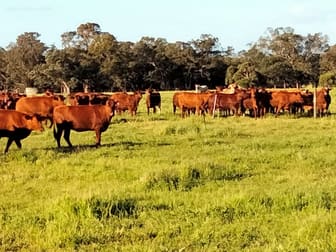 1094 Brand Highway Muchea WA 6501 - Image 1