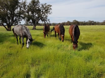 Click to view all images 1094 Brand Highway Muchea WA 6501 - Image 1