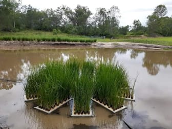 634 Duckpond Road Moolboolaman QLD 4671 - Image 3