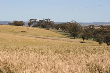 . Boramin & Mulukine Road Grass Valley WA 6403 - Image 3