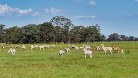 Lot 1 Ararat Halls Gap Road Pomonal VIC 3381 - Image 3