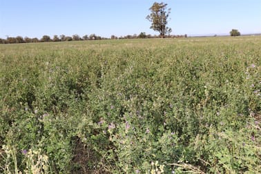 Parkes NSW 2870 - Image 3